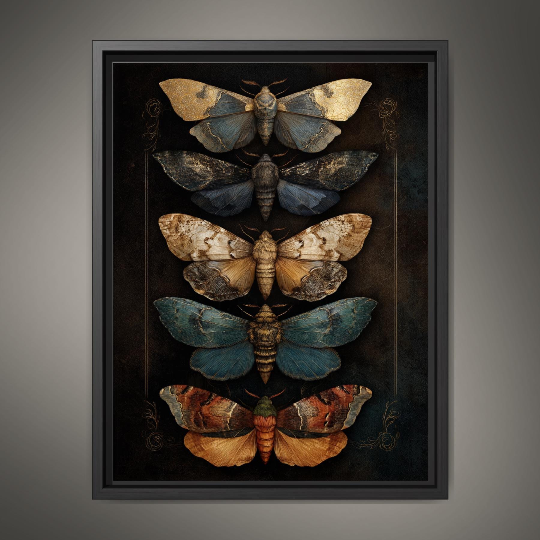 Vintage Moth Illustration Wall Art Print, Insect Curiosity Cabinet, Entomology Butterfly Decor Main image