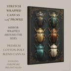 Beetle Specimen Board Wall Art Print, Victorian Insect Decor, Curiosity Cabinet Artwork, Entomology Painting