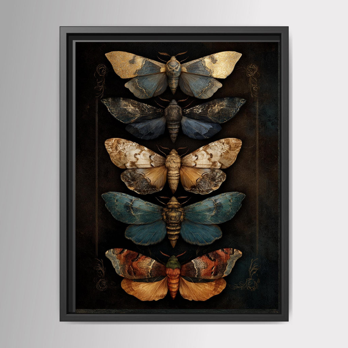 Vintage Moth Illustration Wall Art Print, Insect Curiosity Cabinet, Entomology Butterfly Decor Main image